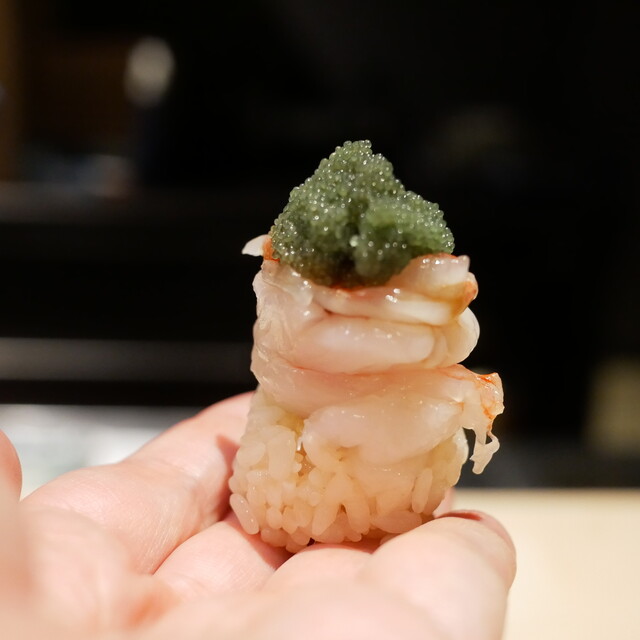 姫沙羅の写真3